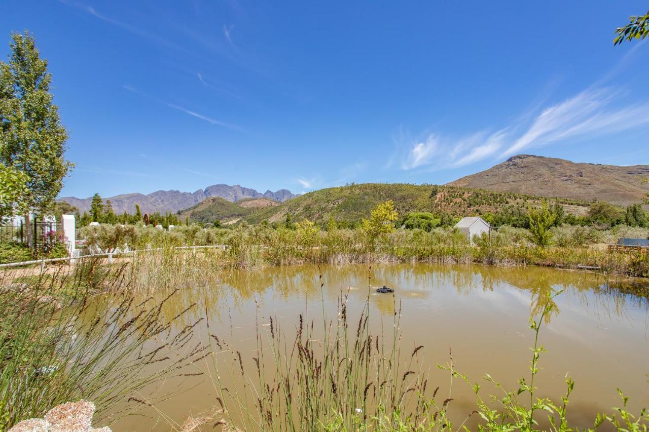 Droom Guesthouse Franschhoek Exterior foto