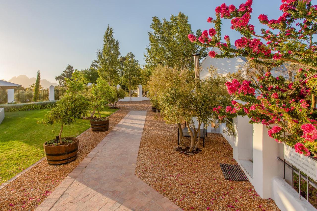 Droom Guesthouse Franschhoek Exterior foto