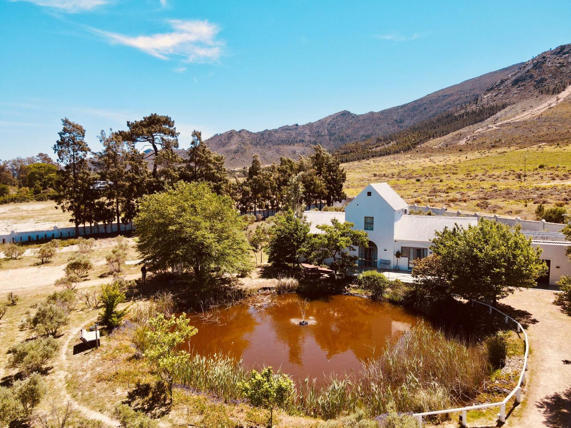 Droom Guesthouse Franschhoek Exterior foto